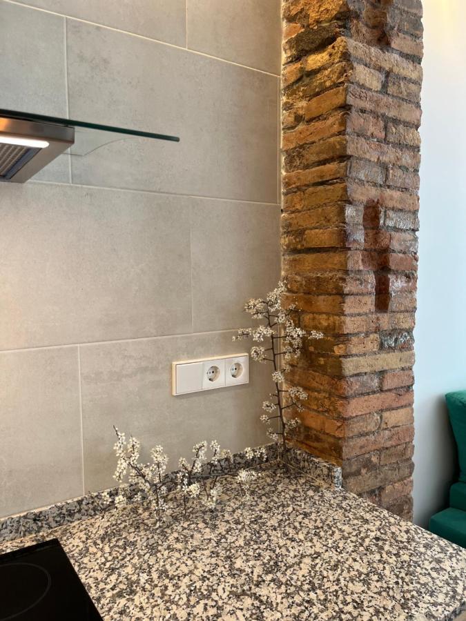 Cal Lleuger Apartment Guardiola de Berga Exterior foto